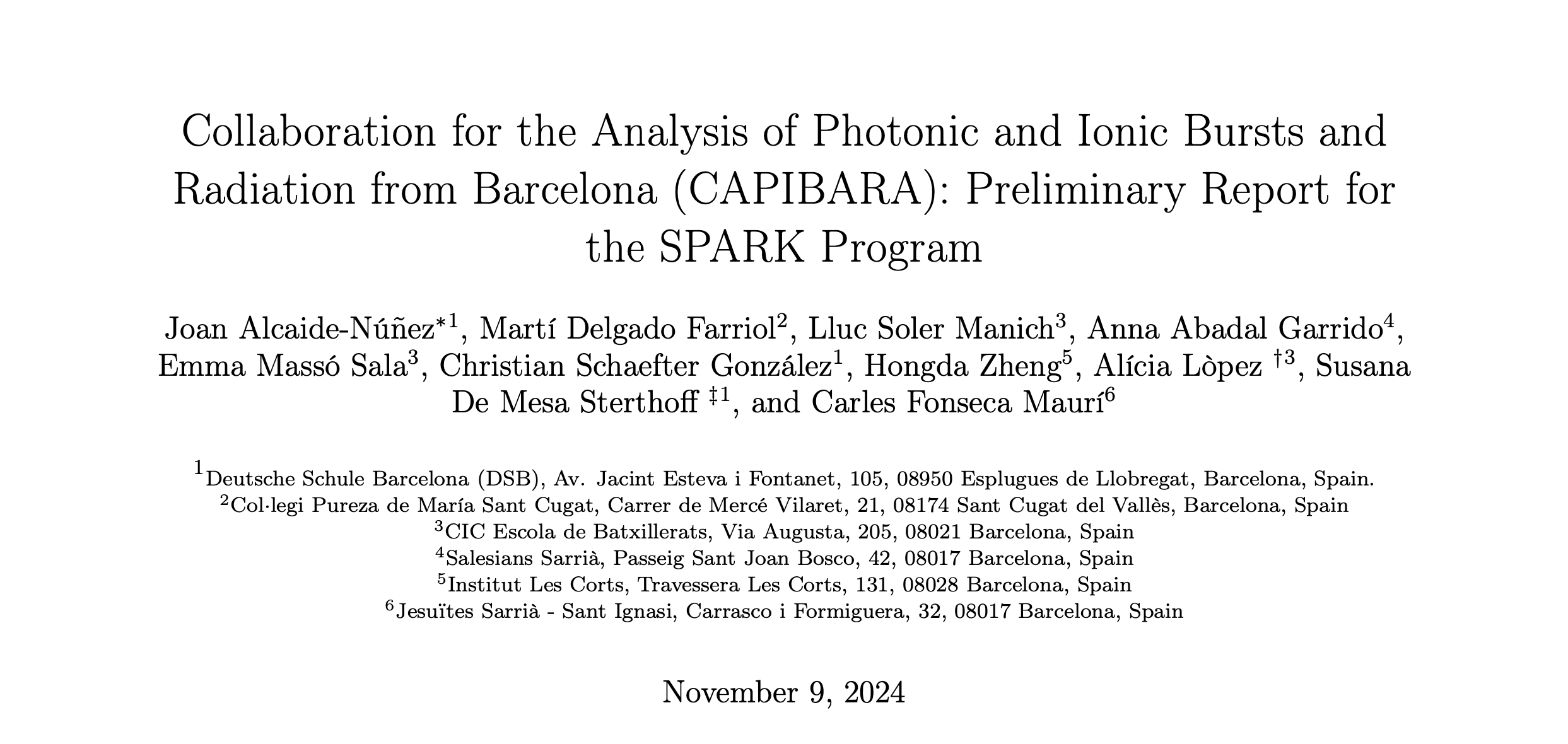 Preliminary Proposal